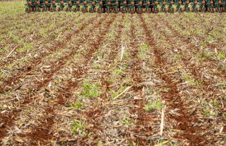 Prorrogado até 12 de janeiro o prazo para semeadura da soja em Goiás