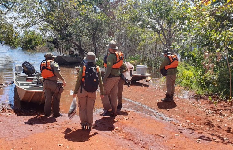 Fiscalização apreende pesca ilegal no lago Serra da Mesa