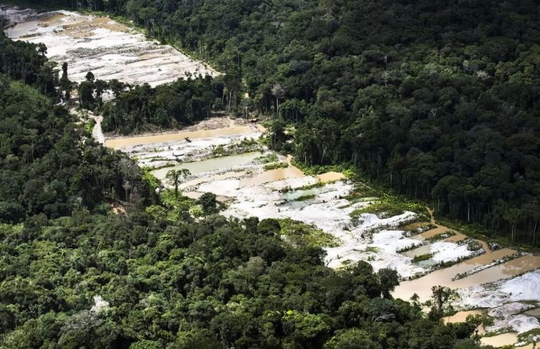 Força-tarefa destrói dez garimpos ilegais na Amazônia