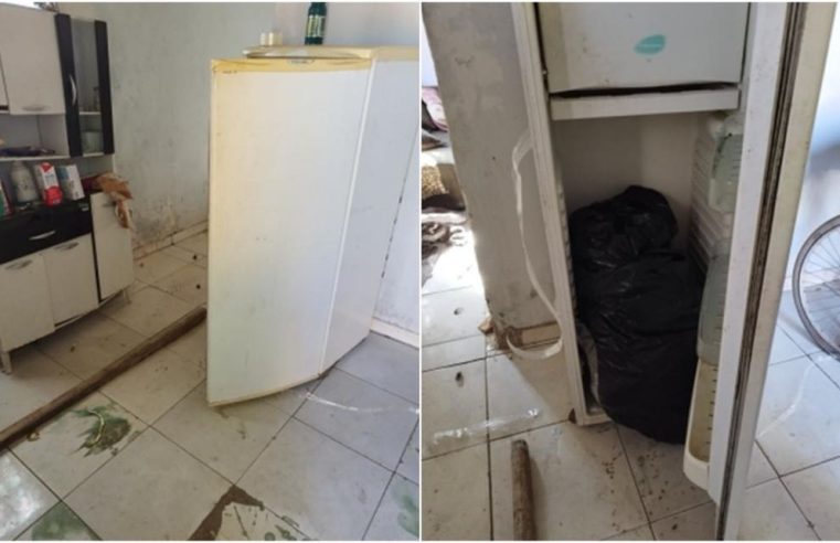 Corpo de mulher é encontrado em saco dentro de geladeira em Aparecida de Goiânia, diz polícia