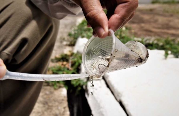 Governo de Goiás alerta para importância da prevenção no combate à dengue