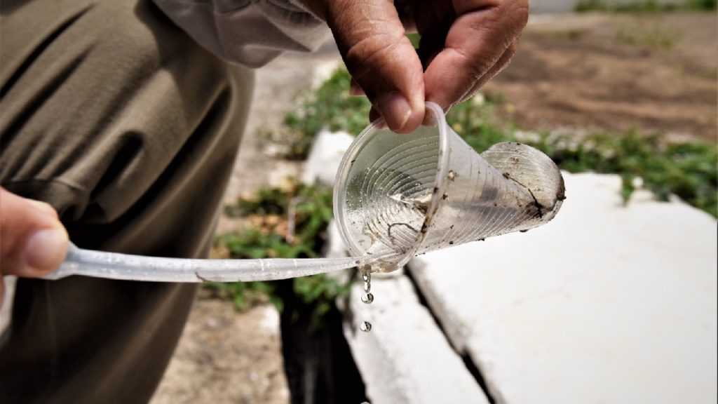 Governo de Goiás alerta para importância da prevenção no combate à dengue