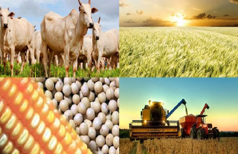 Brasil conquista 37 novos mercados para exportação do agronegócio