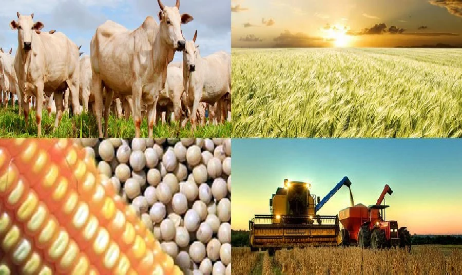 Brasil conquista 37 novos mercados para exportação do agronegócio