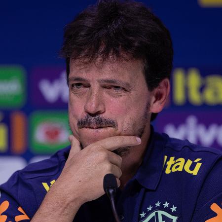 Fernando Diniz divulga sua primeira convocação na Seleção Brasileira