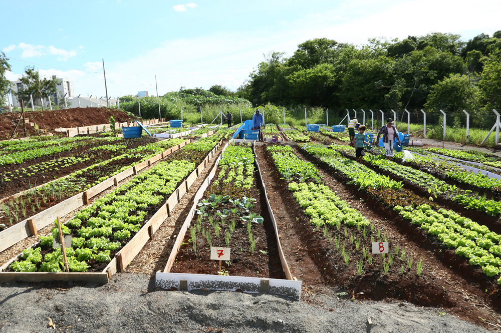 Minha Casa, Minha Vida terá hostas comunitárias