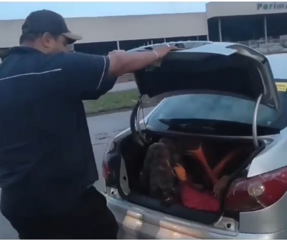 Empresário é flagrado em carro com 7 funcionários, 2 no porta-malas, na BR-153 em Aparecida