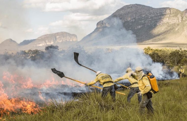 Prazo para solicitar queima controlada em Goiás vai até 30 de junho